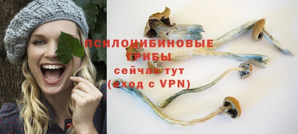 2c-b Михайловск