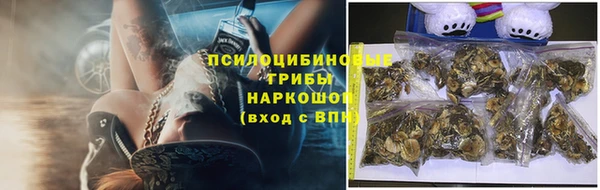 2c-b Михайловск