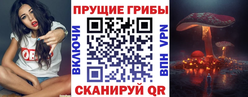 Псилоцибиновые грибы ЛСД Заводоуковск